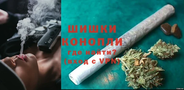 прущие грибы Нефтекумск