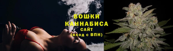 гидра Нея