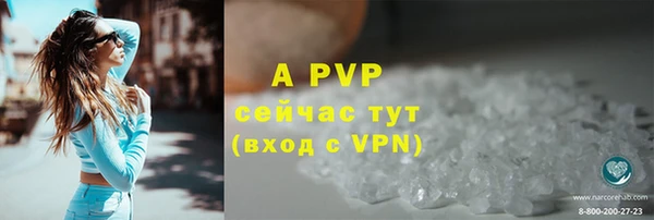 прущие грибы Нефтекумск