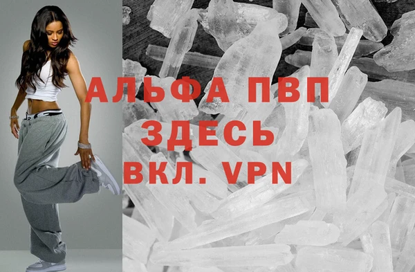 прущие грибы Нефтекумск