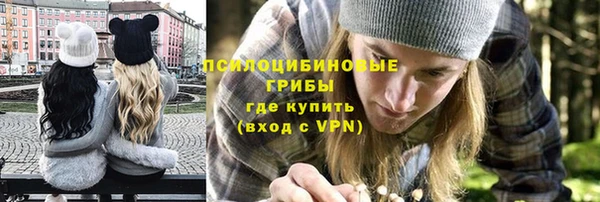 прущие грибы Нефтекумск