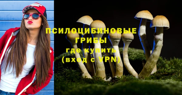 гидра Нея