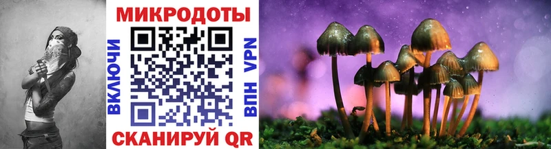 Псилоцибиновые грибы Psilocybine cubensis  Купить  Дрезна 